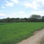 image001