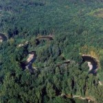 image001 image001