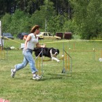 agility_zavody_162